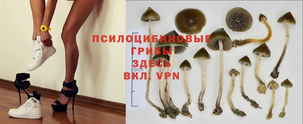 МДМА Арсеньев