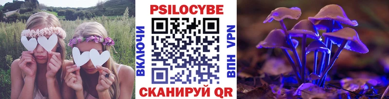 Галлюциногенные грибы мицелий  Свободный 